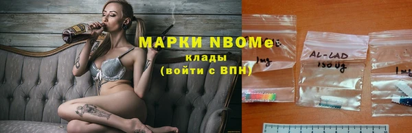 прущие грибы Иннополис