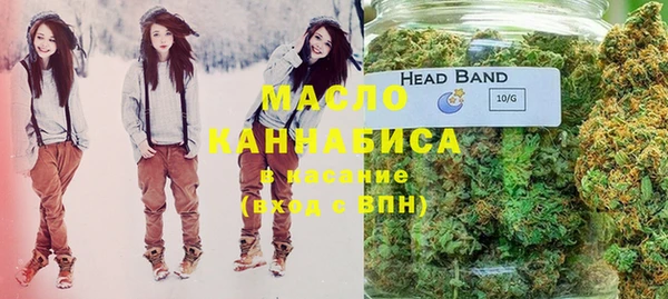 молекула духа Каменногорск